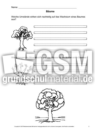 Arbeitsblatt-Bäume-5.pdf